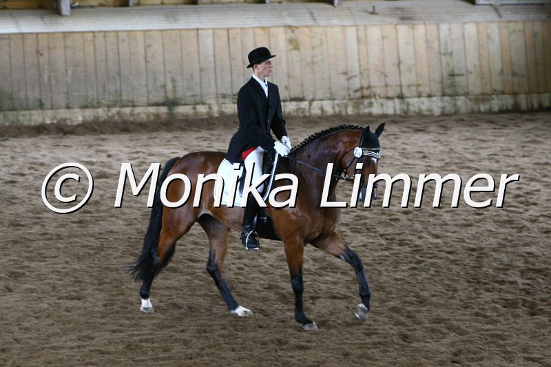 006M4847_Dressur A.JPG